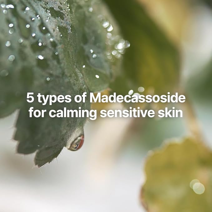 [PKY] Pyunkang Yul Calming Skincare Gift Set with Premium Gift Wrapping, Instantly Calms Sensitive Skin, Toner, Soothing Serum, and Facial Skin Hydrating Cream, Vegan, Korean Skincare (3-item set)