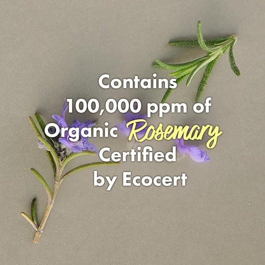 RATED GREEN Rosemary Balancing Scalp Pack | Organic Cold Brewed Charcoal | 2-in-1 Detoxifying Hair Mask for Flaky, Oly Scalp & Hair | Silicone-Free, Korean Hair Care | 6.76 Fl. Oz