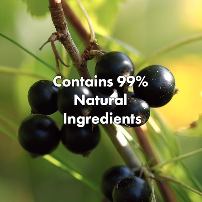 RATED GREEN Cold Press Tamanu Oil Hair Conditioning Mask, 8.45 Fl. Oz, Korean Care for Dry Damaged Hair, Deep Conditioning Treatment with Black Currant, Pack of 5