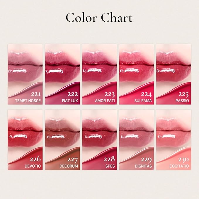 DINTO Blur-Glowy Lip Tint (223 Amor Fātī)