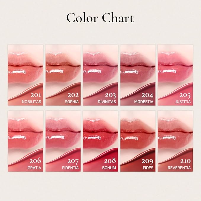 DINTO Blur-Glowy Lip Tint (228 Spēs)
