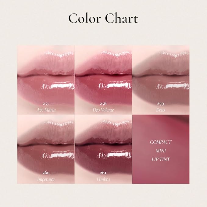 DINTO Blur-Glowy MINI Lip Tint (252 Memento Mori) - Glossy Finish, Hydrating, Long Lasting, Lightweight Texture, Non-Sticky, Vegan & Cruelty-Free, Korean makeup (11 colors)