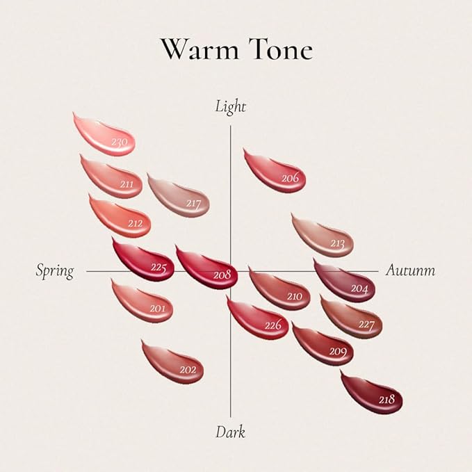 DINTO Blur-Glowy Lip Tint (227 Decōrum)