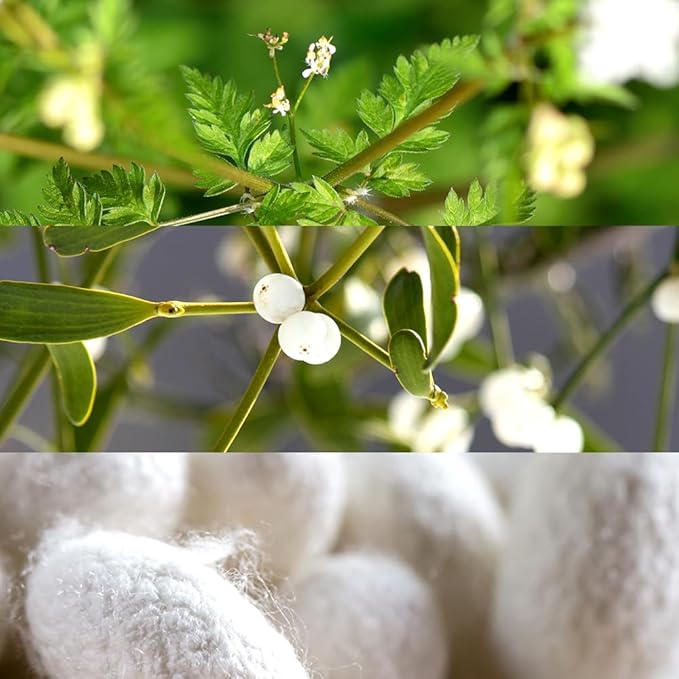 Cica Finish Cream, Lightweight & Soothing & Hydrating Korean Moisturizer with Centella Asiatica for Sensitive Skin, Barrier Repair Cream, Korean Skincare Moisturizer (1.69 fl.oz, 50ml)