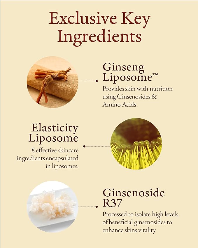 SOORYEHAN Micro Ginseng Essential Skincare Special Set (11.2 fl oz) - Boosts Skin Density, Elasticity, and Vitality . with Ginseng Liposome™ for Youthful Radiance – Korea Skincare.