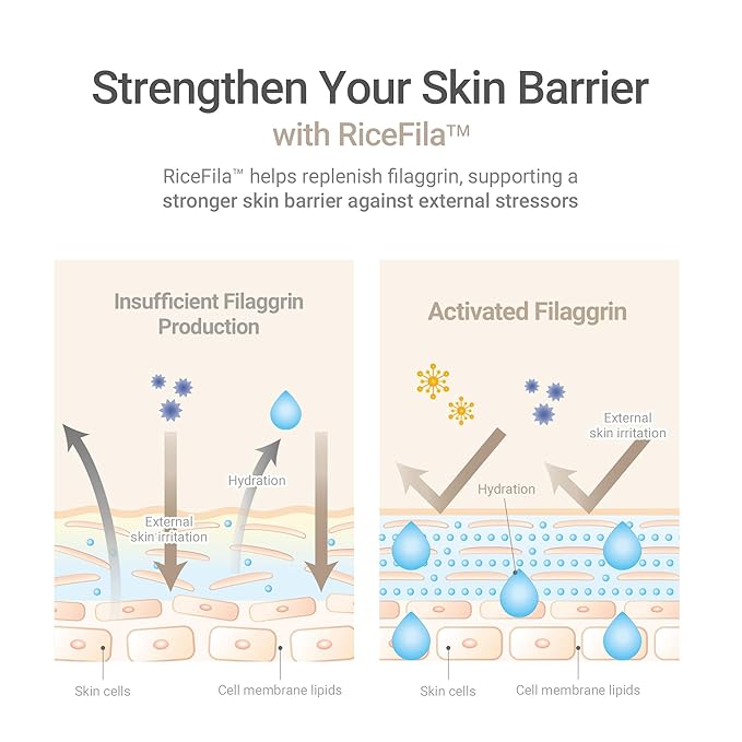 HAYEJIN RiceFila Moisturizing Cream - 50HR Hydrating Day and Night Moisturizer Face Cream with Niacinamide, 8 Hyaluronic Acids & 6 Peptides - Lightweight & Layerable Vegan Korean Skincare 1.69 fl oz