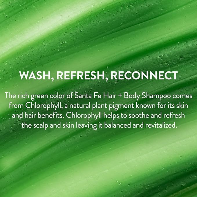 PHILIP B Santa Fe Hair and Body Shampoo (11.8 Fl Oz) - Gentle Cleanser, Hydrates and Softens with Shea Butter & Vitamin B5