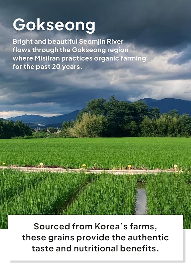 Korean Food Korean Misugaru Multi-Grain Drink Mix, Nutritional Mixed Grain Powder, 17.6 oz(500g), 미숫가루