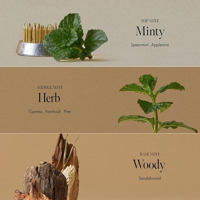 ANILLO Dark Beer Biome Shampoo - Vegan Thicker Hair & Sclap Care with Caffeine & Green Mint Complex for Volumizing Hair- Deep Cleansing, Oil Control & Cooling Effect, Sulfate-Free 500 ml / 16.9 fl oz